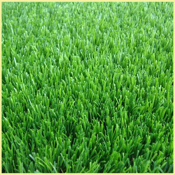 Landscaping Synthetic Grass for Garden