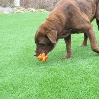 Gramado Artificial Para Cães