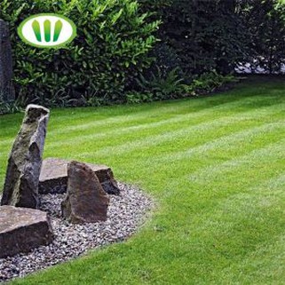 Grama Natural de falsa comercial à procura de decoração de jardim
