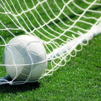 Grama plástica falsificada do tapete artificial macio resistente UV do futebol de 50mm para o campo de esporte do futebol