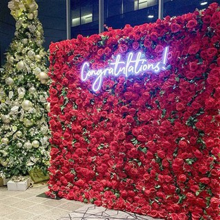 Parede artificial vermelha da flor da planta para festas e casamentos